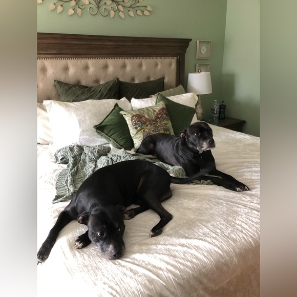 Meet your Posher, Esther - Picture 8 of 8